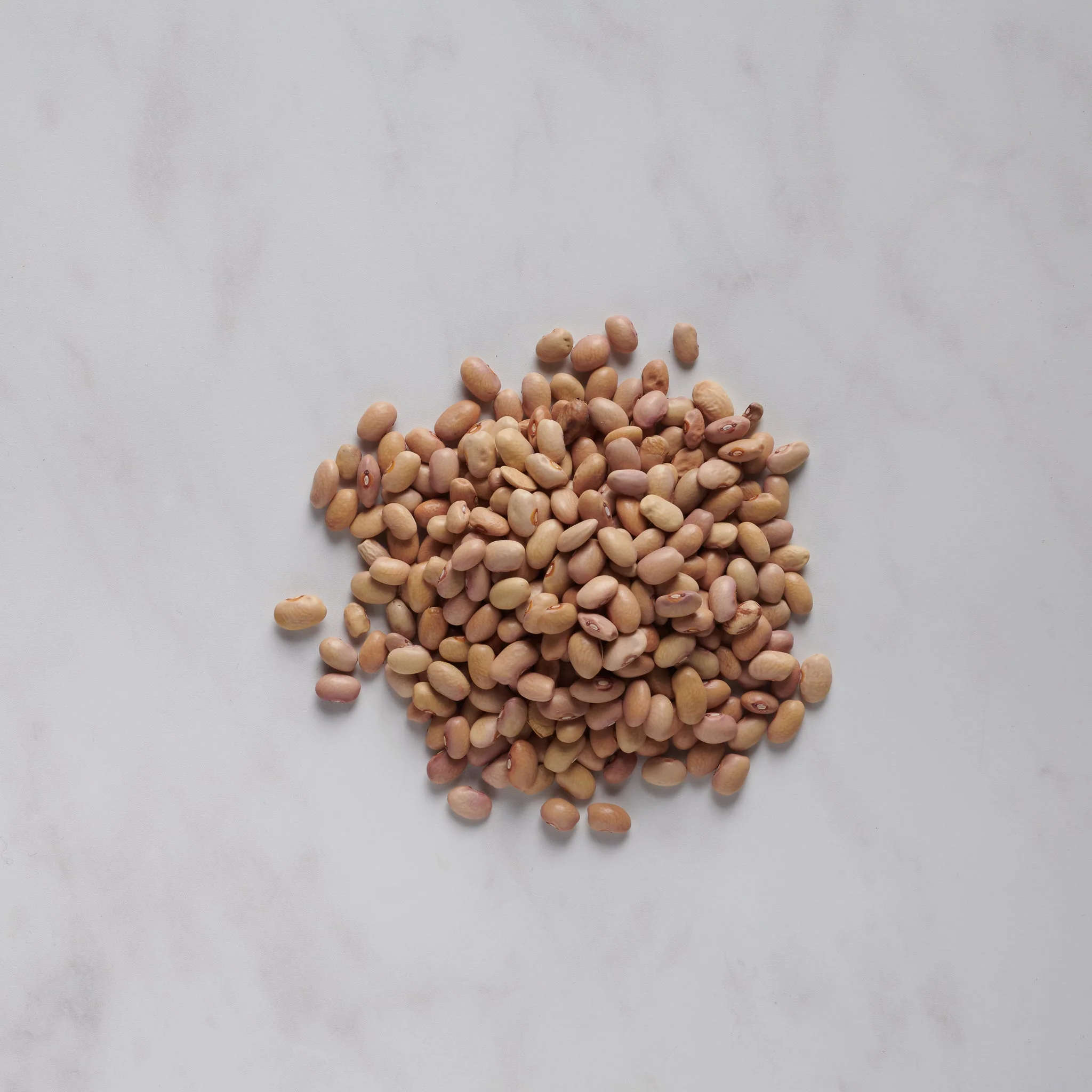 Bolita Beans - Image 2