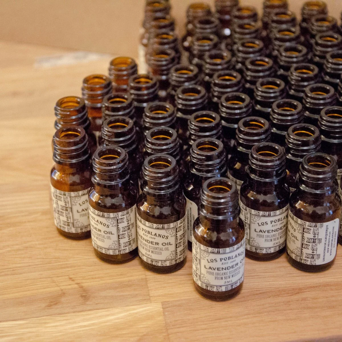 Organic Lavender Essential Oil - Image 3